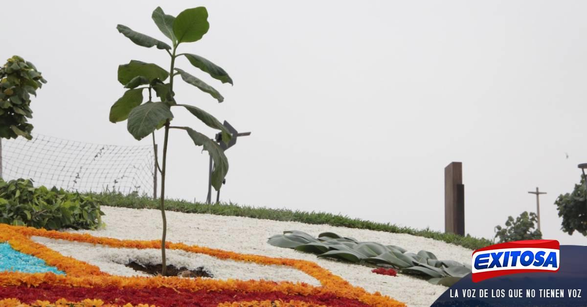 Bicentenario Emblem Tico Rbol De La Quina Crece En Parques De San