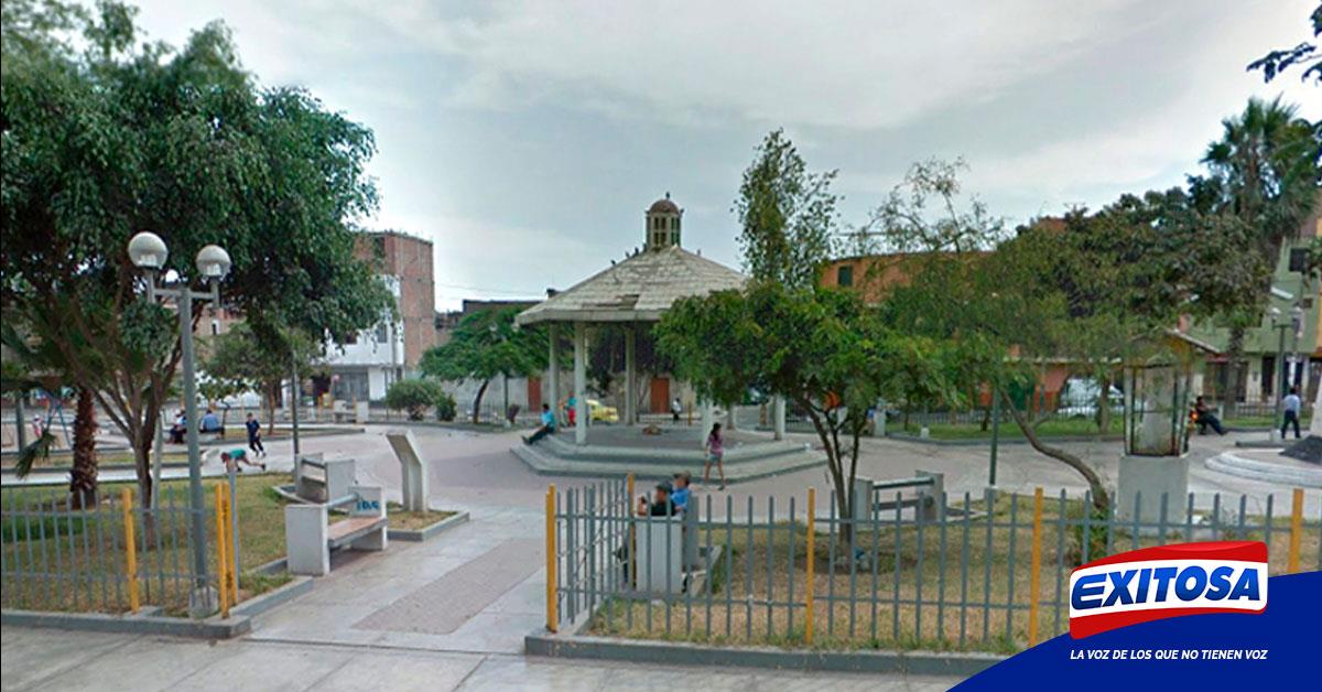 Denuncian que parque en Villa María del Triunfo se encuentra en mal