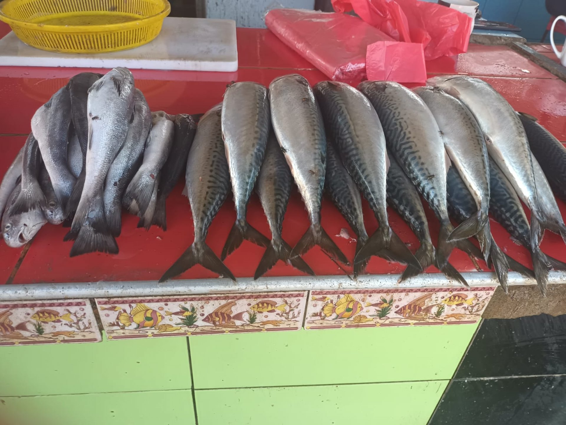 Aumenta El Precio Del Pollo Mientras Que El Precio Pescado Baja En