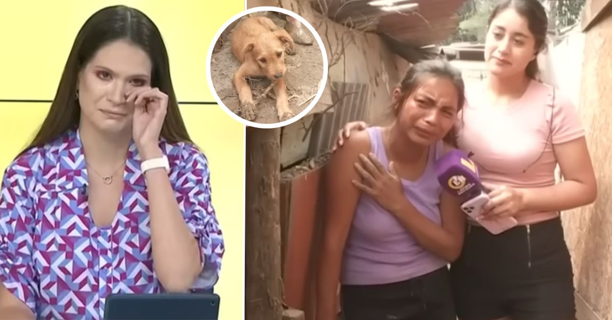 Lorena Álvarez rompe en llanto por dueña de albergue de animales que