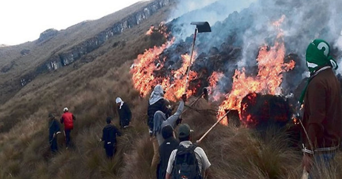 Incendio forestal en Apurímac siniestro en provincia de Aymaraes se