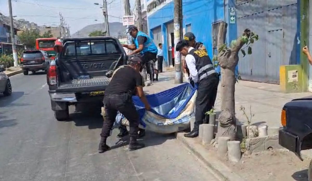 SJM Hombre Asesina A Su Hermano A Martillazos Tras Brutal Pelea Y Se