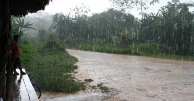 lluvias-selva1