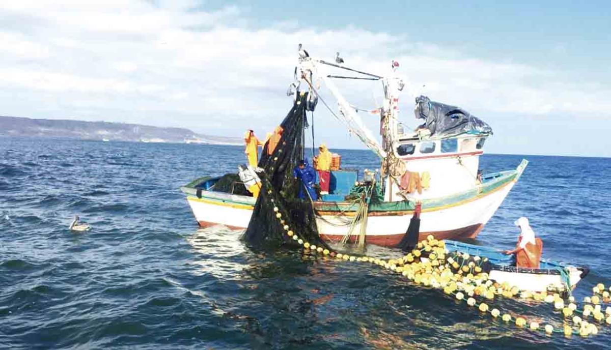 Pescadores Artesanales En Contra Que Industriales Pesquen Desde La Milla 1 Exitosa Noticias 8222