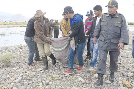 puno