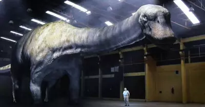 Un-Titanosaurio-ms-grande-que-una-ballena-asesina-Concelo-1