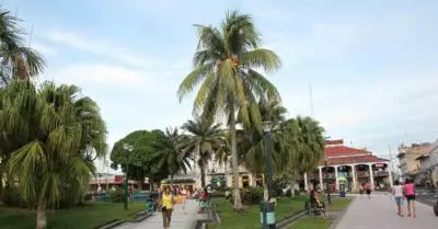 temblor