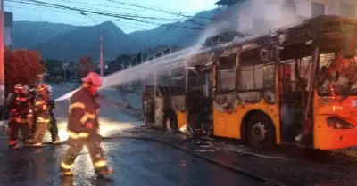 bus-metropolitano