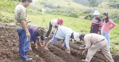 Ley-de-Promocin-del-Sector-Agrario