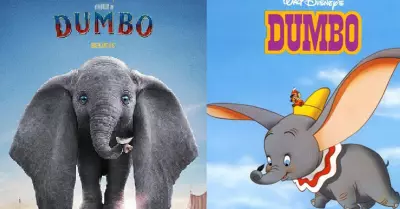 Dumbo