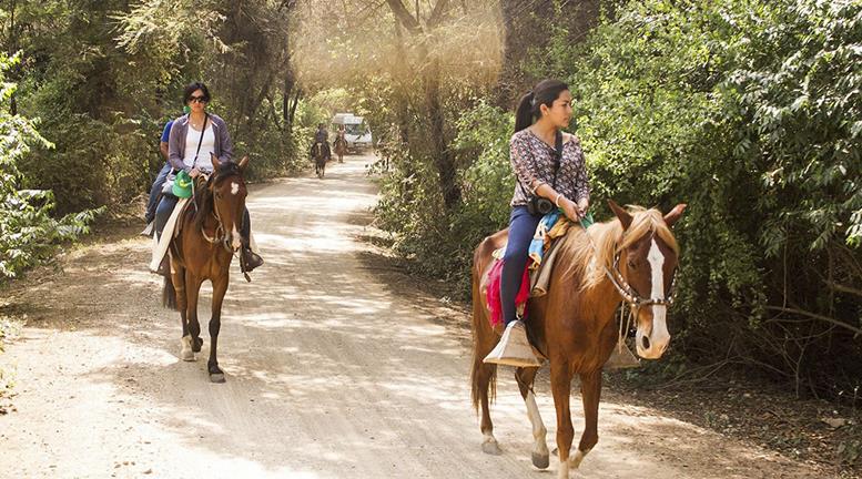 Semana Santa: cinco mejores destinos para visitar este feriado largo ...
