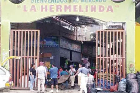 trujillo-mercado