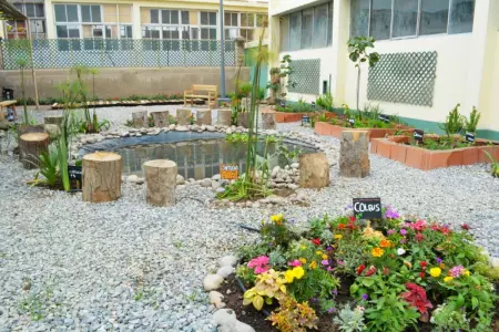 WhatsApp-Image-2019-04-23-at-3.21.36-PM-1