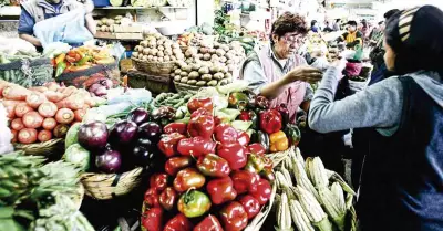 verduras