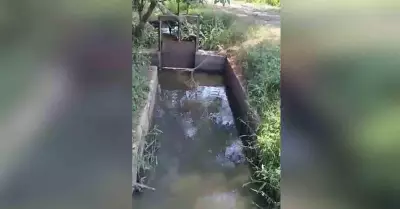 arroz-estarían-siendo-contaminadas-con-aguas-residuales