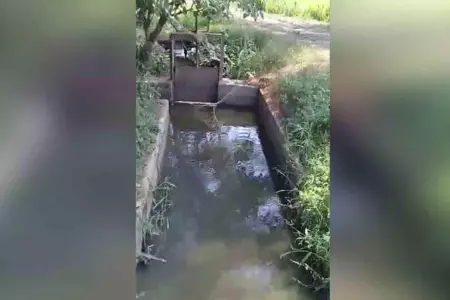arroz-estaran-siendo-contaminadas-con-aguas-residuales