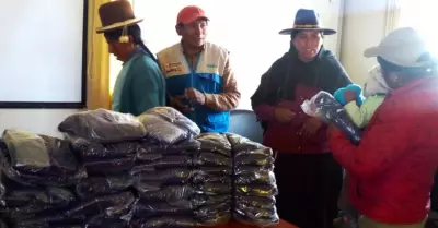 Foto-Puno-1