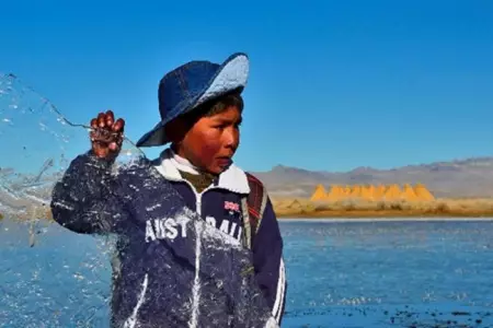 puno