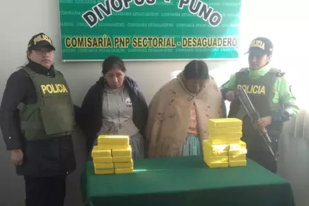 droga-puno