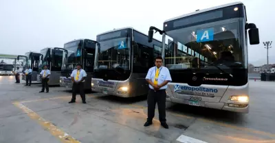 Buses-del-Metropolitano