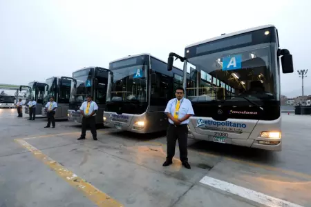 Buses-del-Metropolitano