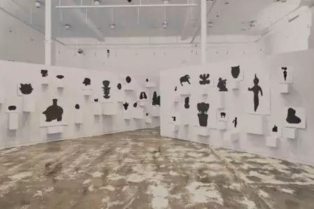 expo