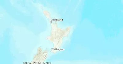 nz