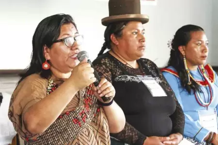 Representante-de-ind�genas