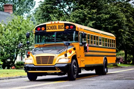 school-bus