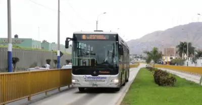 Metropolitano