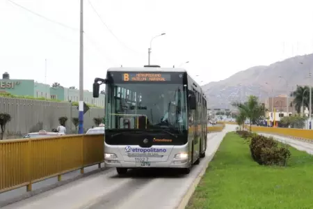 Metropolitano