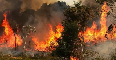 incendio-brasil