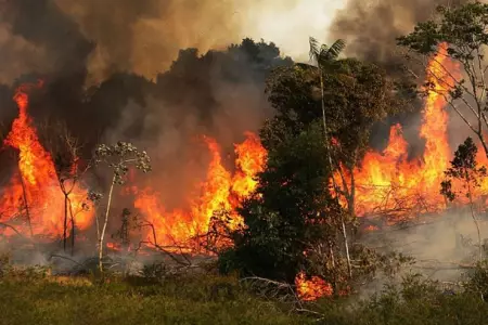 incendio-brasil