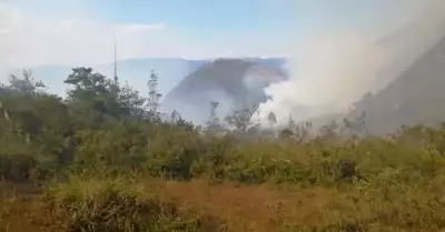 incendio-forestal