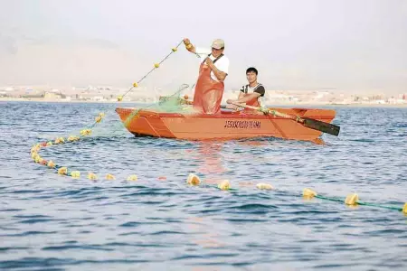 pescadores-artesanales