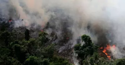 Incendio-Amazonas-