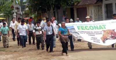 feconat