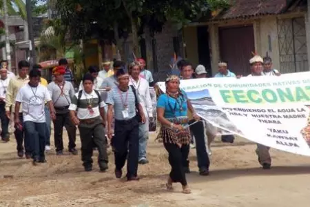 feconat