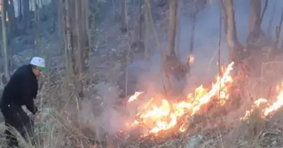 actualidad-ancash-incendio-forestal-ocros-arraso-cuatro-hectareas-bosque-n391138