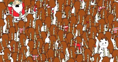 25487482_1249298345172075_3088718406439447164_o