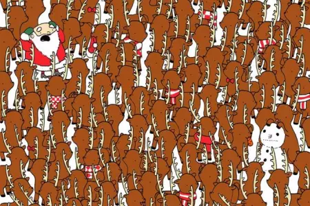 25487482_1249298345172075_3088718406439447164_o