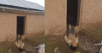 nilo-tayo
