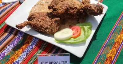 cuy-broaster