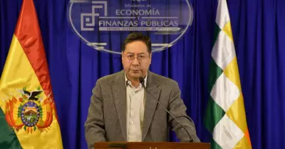Ministro-Luis-Arce-Catacora