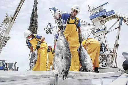 Pescadores-podrn-disponer-LIBREMENTE-HASTA-90-DE-cts