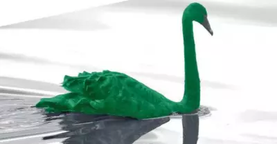 Dennis-Falvy-El-denominado-cisne-verde