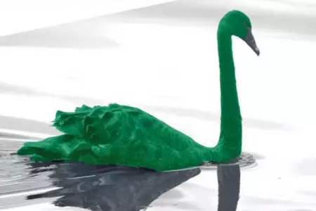 Dennis-Falvy-El-denominado-cisne-verde