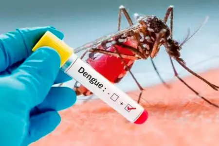 dengue-1