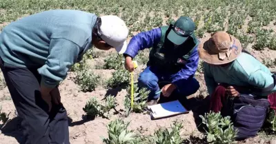 agricultura