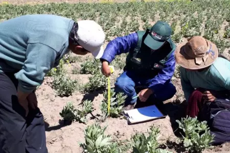 agricultura